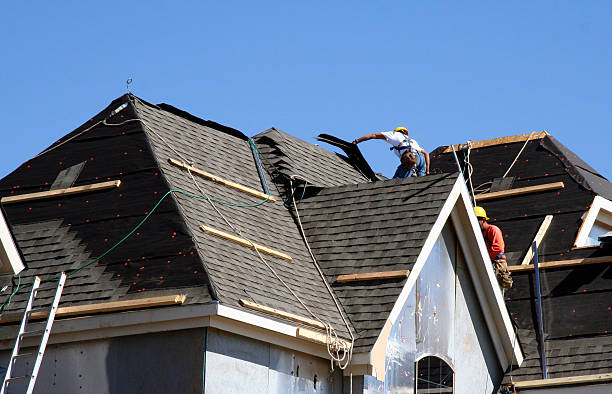 Best Storm Damage Roof Repair  in North Braddock, PA