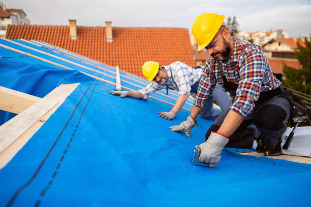 Best Roofing Contractor Near Me  in North Braddock, PA
