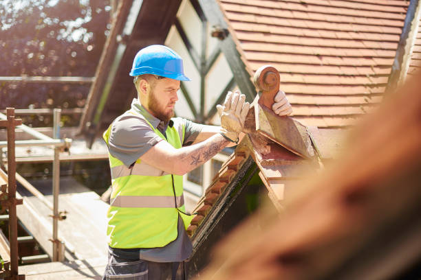 Best Roof Gutter Cleaning  in North Braddock, PA