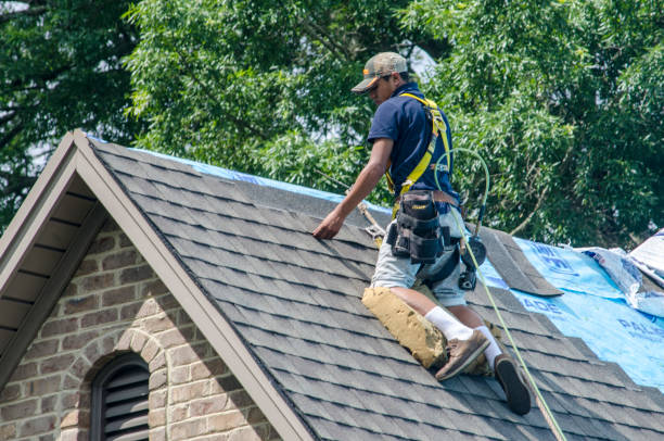 Best Gutter Installation and Roofing  in North Braddock, PA